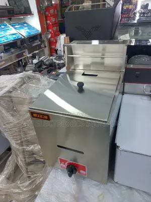 Single Gas Deepfryer