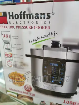 6l Multifunction Pressure Cooker Electric Pressure Cooker