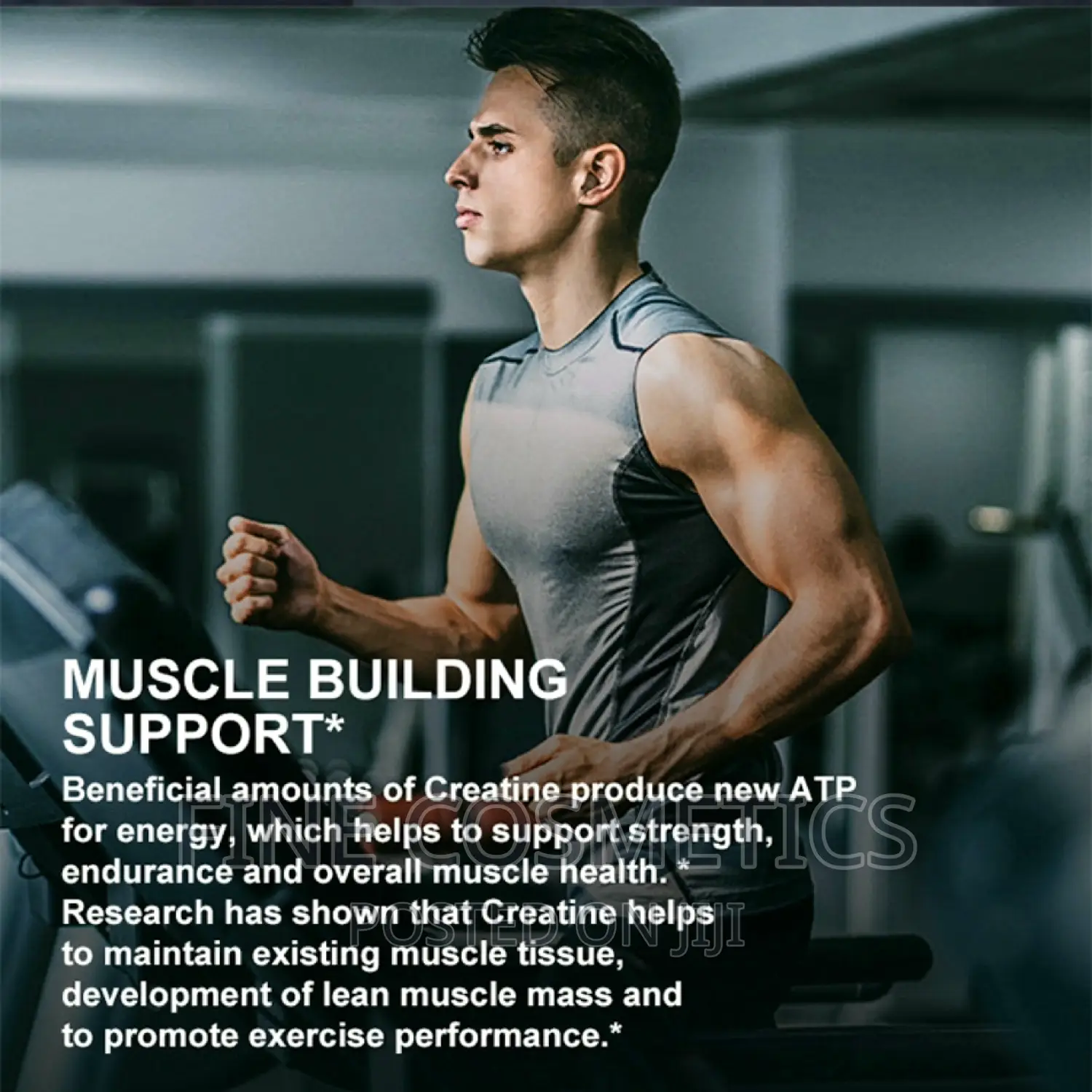 Weight Gain Gummies, Creatine Monohydrate Body Building (35)