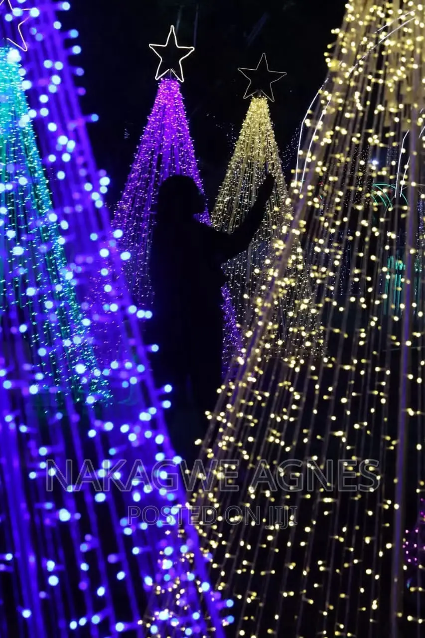 50 Metre Christmas Lights