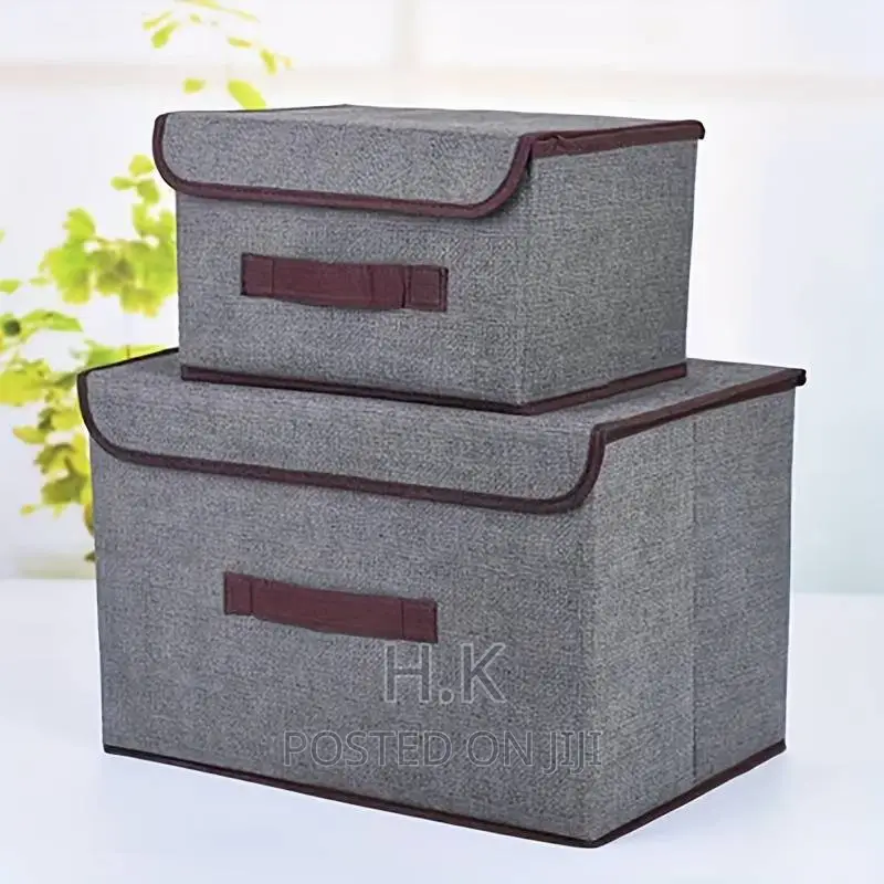 2pc Foldable Storage Box