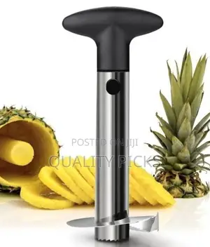 Pineapple Slicer