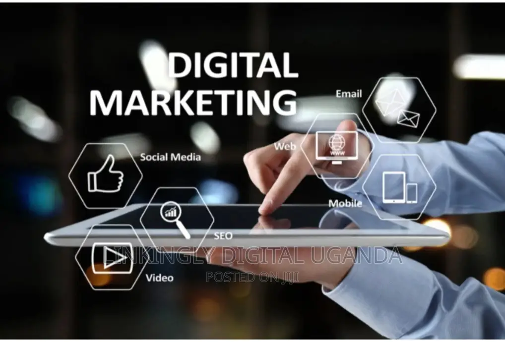 Top Website Developer, E-Commerce and Web Upgrades