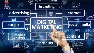 Top Website Developer, E-Commerce and Web Upgrades