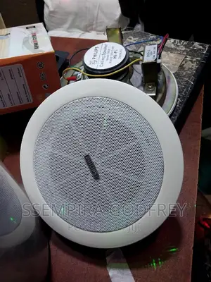 Ceiling Speakers