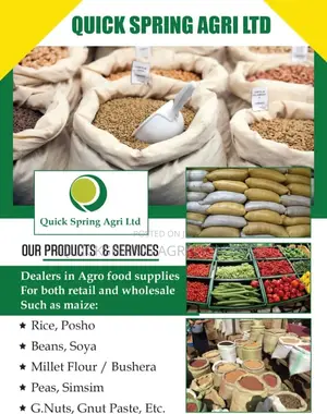Grocery Delivery Services