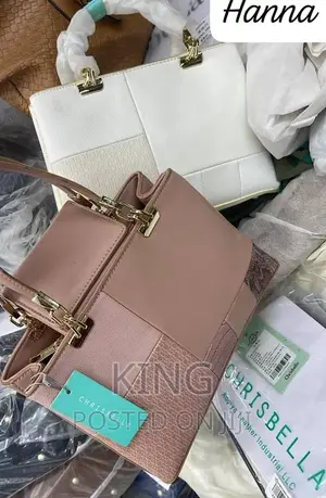 New Latest Ladies Bags