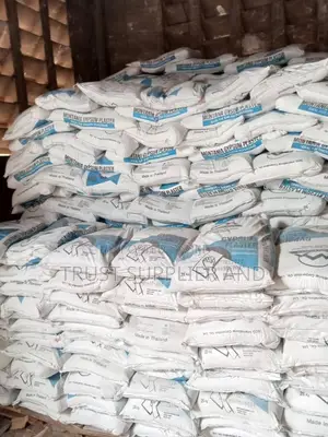 Montania Filler Plastering