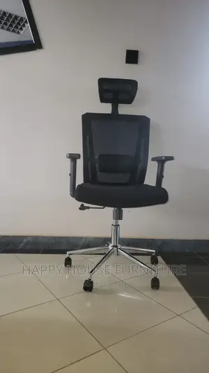 Ergonomic Office Chair