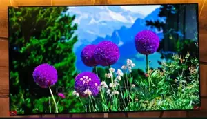 LG Nano Cell 55 Inch Tv/ 55 Inch LG Tv/ Nano Cell Tv 55 Inch