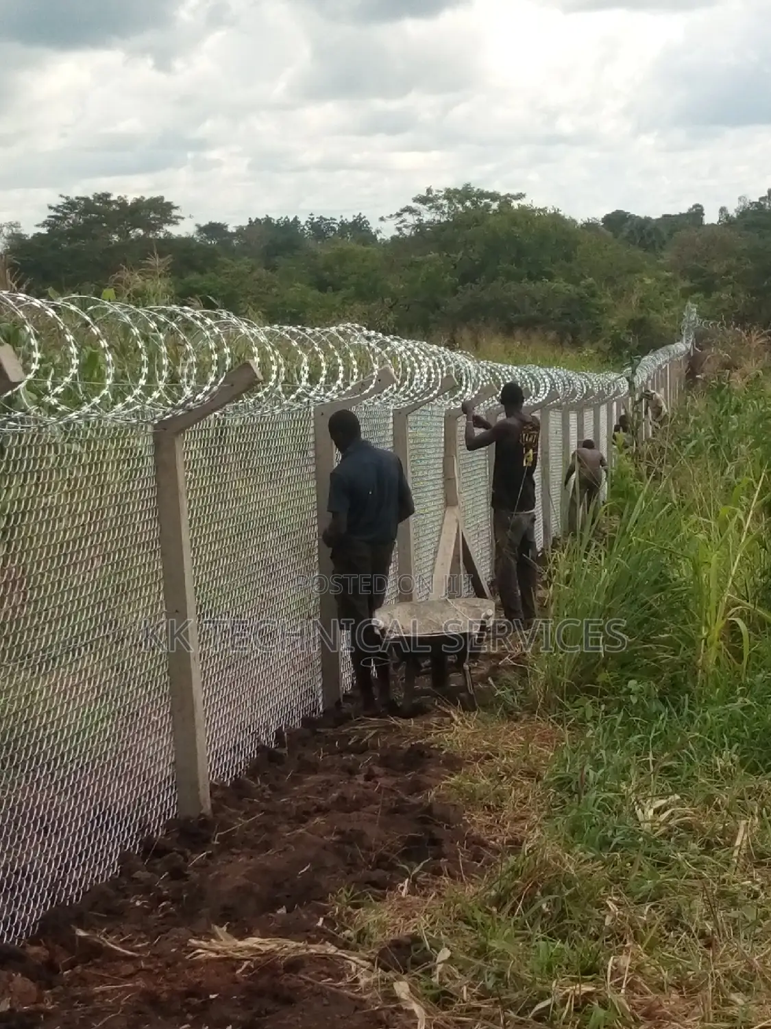 Chainlink Fencing