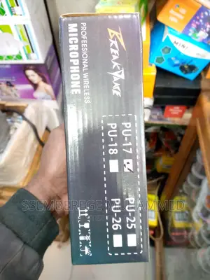Professional Wireless Microphone