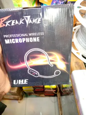 Professional Wireless Microphone