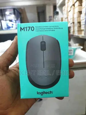 Logitech Wireless Mouse M170