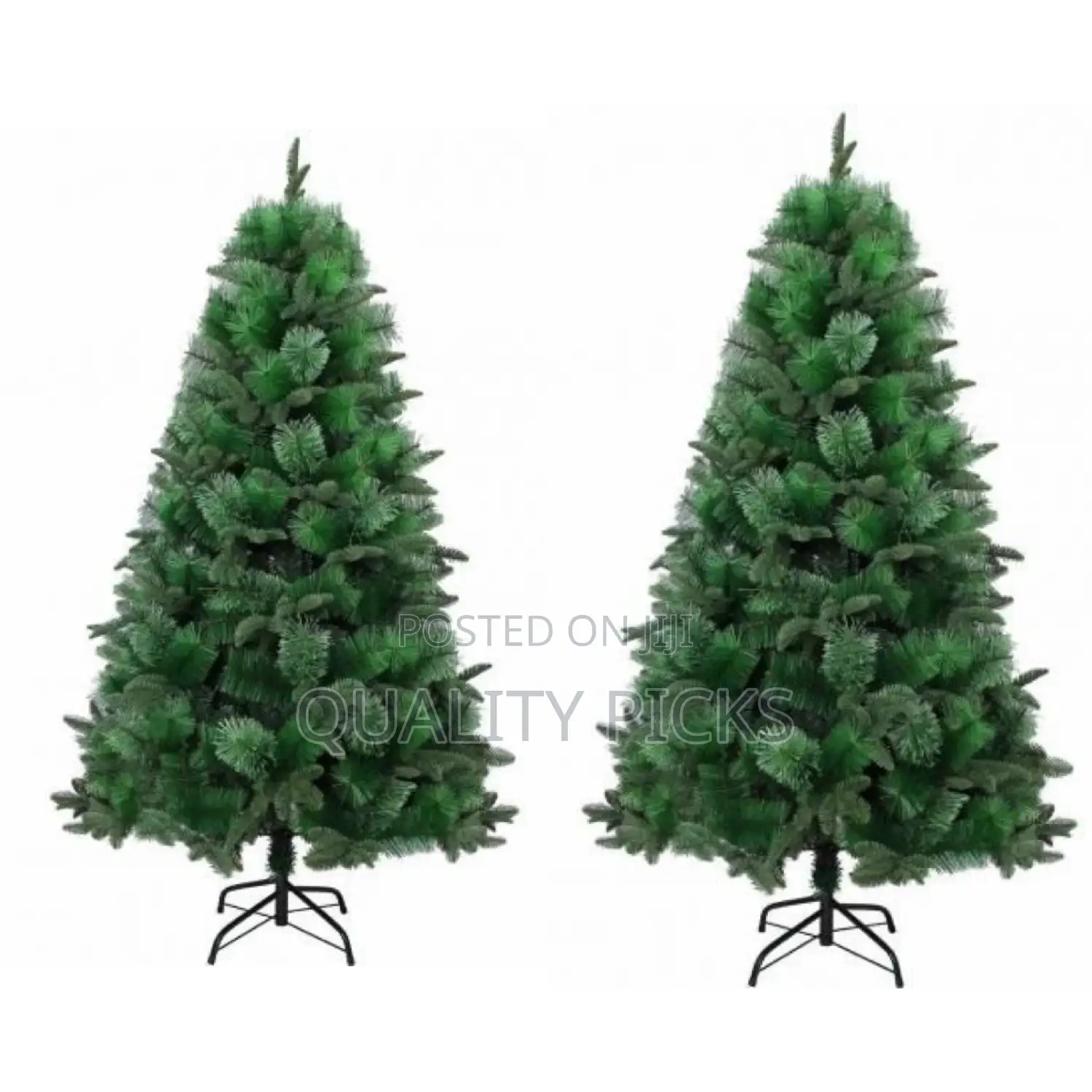 Family Christmas Tree