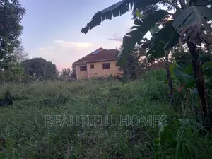 33 Decimal in Buwate Najera Prime Plot