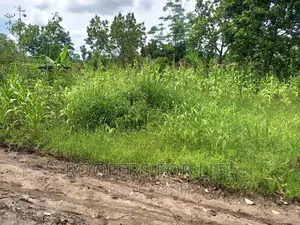 50*100 Plot for Sale