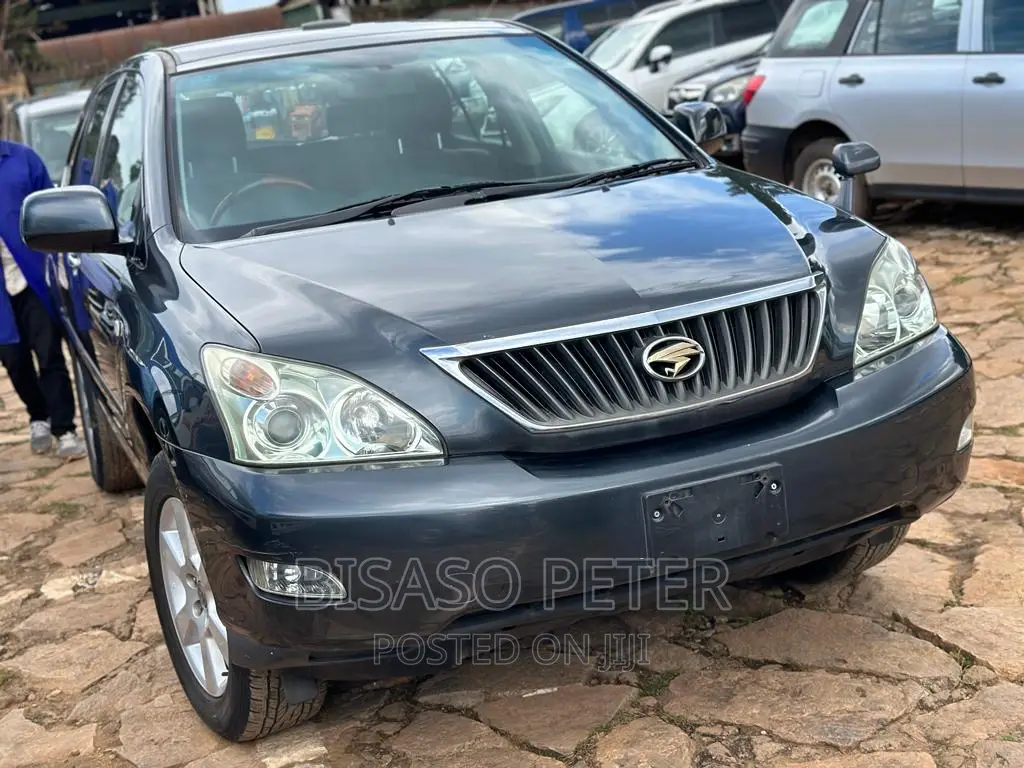 Toyota Harrier 2.4 2010 Gray