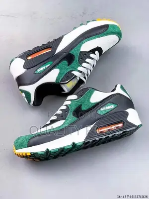 Air Max Shoe