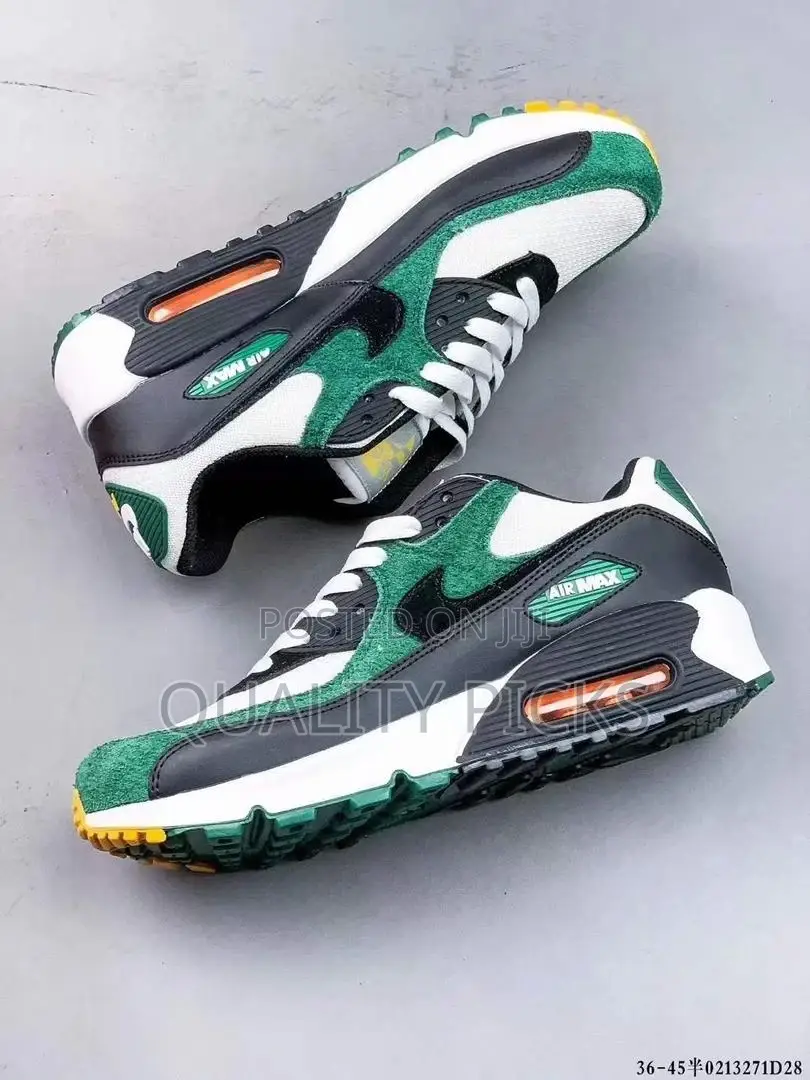 Air Max Shoe