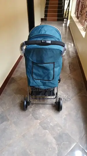 Baby Carring Stroller
