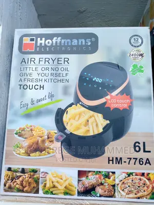 Hoffman Electric Air Fryer