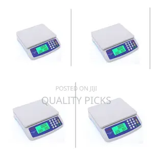 Digital Computer Scale