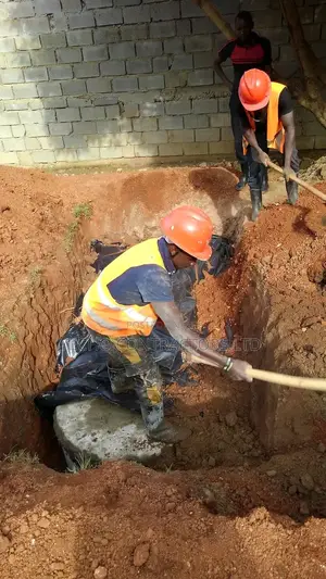 Transformed and Advanced Biodigester Septic Tank System