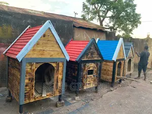 KVGGTV Nice Dog House