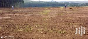 Plots of Land for Sell on Mityana Road Bujuuko