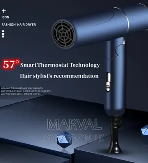 Professional High Power Foldable Electric Hair Dryer