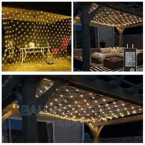 Christmas Net Light