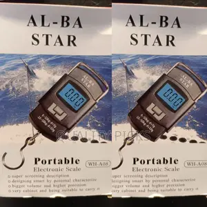 Portable Electronic Scale