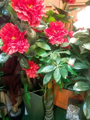 Artificial Plants and Flowers