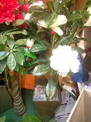 Artificial Plants and Flowers