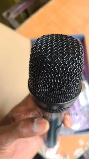 Sennheiser/RMW D9 Wired Microphone