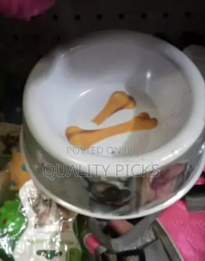 Pet Feeding Plate