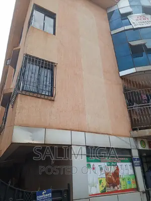 2bdrm Block of Flats in Kololo Property, Central Division for rent