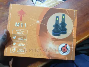 Super Lighting Bulbs of 12000LM and 38000 Watts