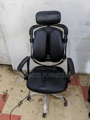 A Orthopedic Executive Office Chair