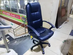 Long Back Office Chair