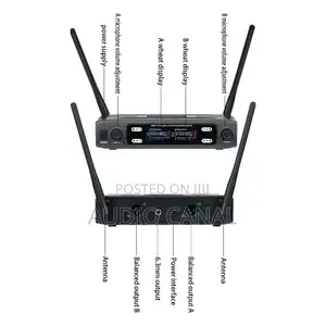 Double Microphone Shure Brand