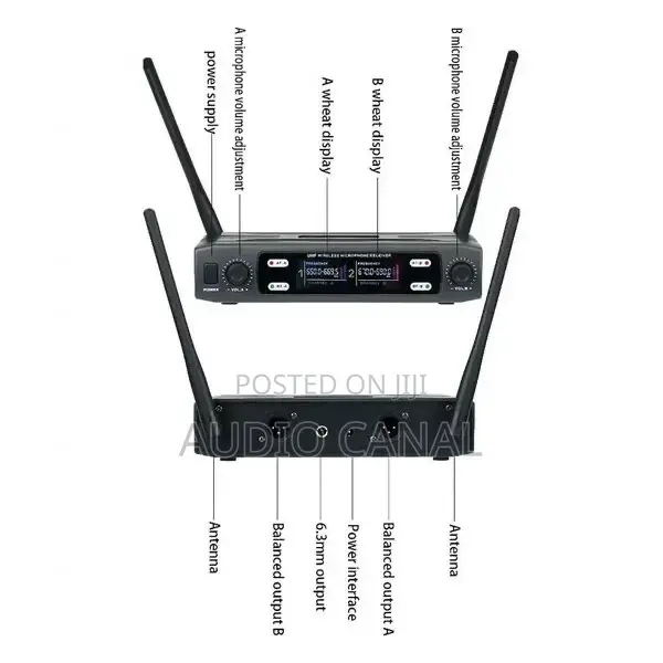 Double Microphone Shure Brand