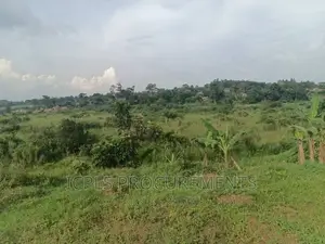 9 Acres Industrial Land (Mailo) in Seeta