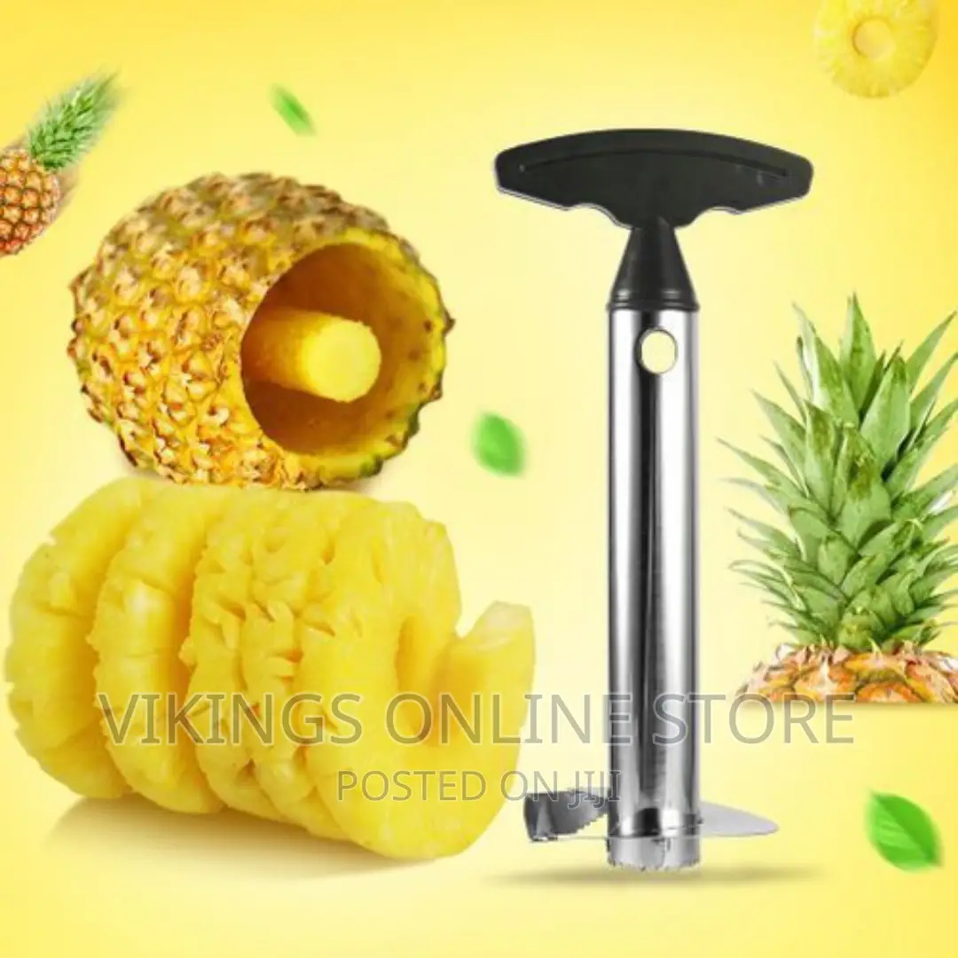 Stainless Steel Pineapple Peeler Cutter – Silver, Black