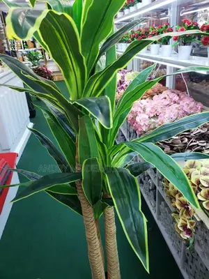 Artificial Plants and Flowers