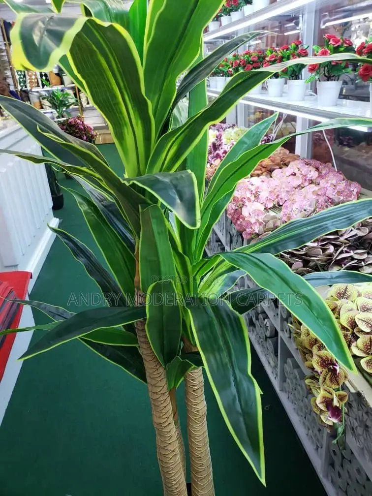 Artificial Plants and Flowers