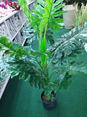 Artificial Plants and Flowers