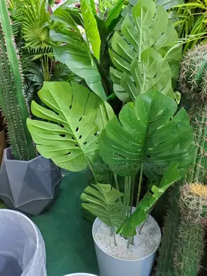 Artificial Plants and Flowers