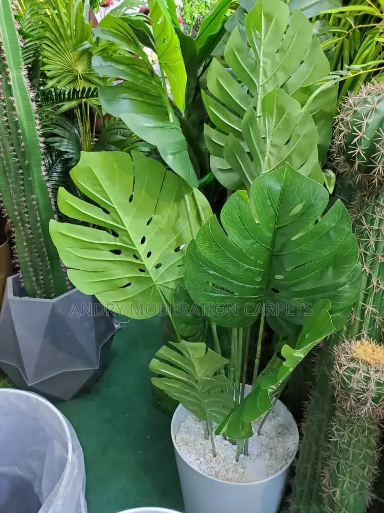Artificial Plants and Flowers